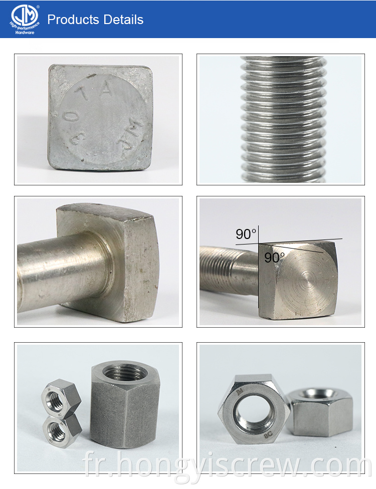 Boulon de tête carrée en acier inoxydable pour construire un boulon carré DIN M8 M20 M22